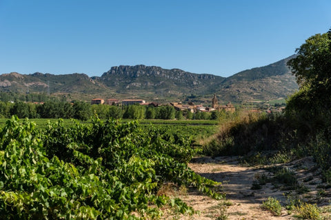 Rioja Alta