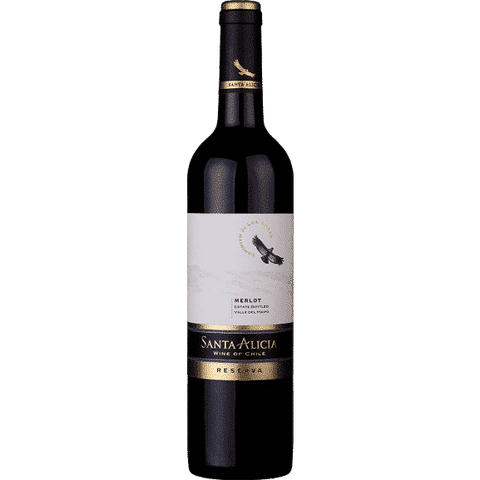 Reserve Merlot Maipo Valley 2018