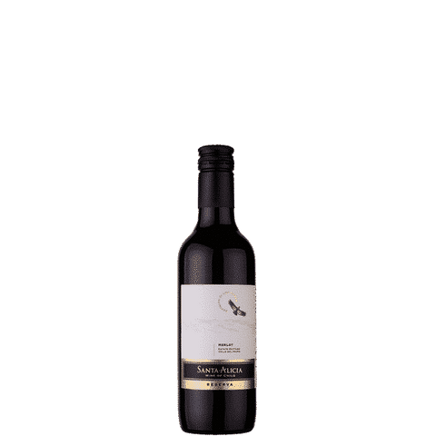 Reserve Merlot Maipo Valley 2018